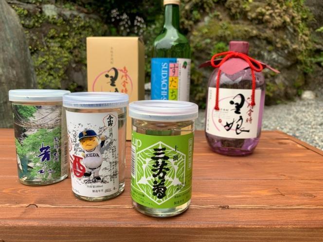 Iya Kankou Ryokan Mijoši Exteriér fotografie