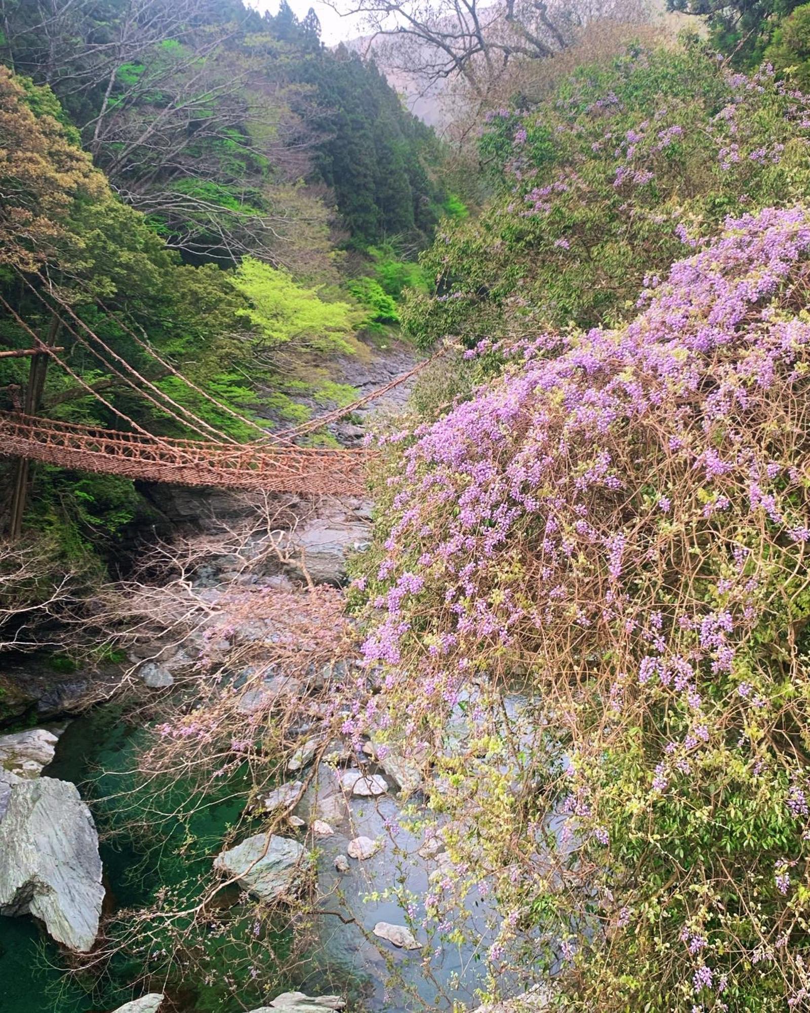 Iya Kankou Ryokan Mijoši Exteriér fotografie